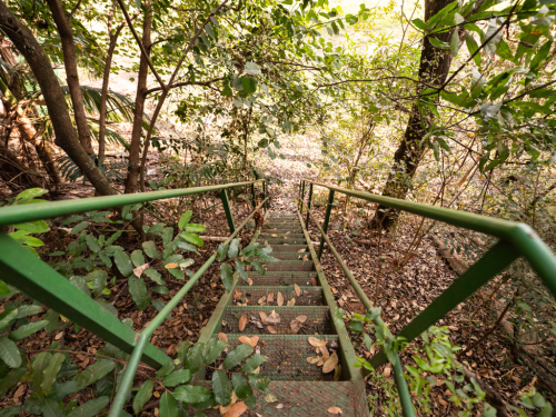 escada-verde-celomax-cop30